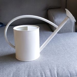 Hearth and hand watering can